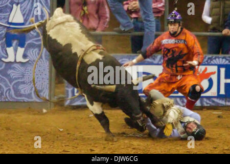 4 mars 2010 : Clayton Williams de Carthage, TX se trouve à s'éteint durant son trajet de Bull Run à l'Houston Livestock Show and Rodeo en reliant Arena à Houston, TX. (Crédit Image : © Anthony Vasser/ZUMApress.com) Southcreek/mondial Banque D'Images