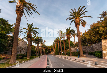 Avenue de Palm à l'île de Kos Grèce Banque D'Images