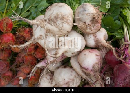 Des légumes pour la vente à un marché agricole. Banque D'Images