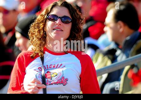 20 novembre 2010 - Louisville, Kentucky, États-Unis d'Amérique - Louisville Cardinals ventilateur pendant le jeu. West Virginia Mountaineers mène Louisville Cardinals 14 -10 à la mi PaPa Johns Cardinal Stadium Louisville, Kentucky. (Crédit Image : © Scott Davis/ZUMAPRESS.com) Southcreek/mondial Banque D'Images