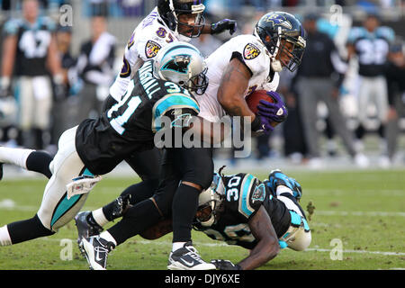 21 novembre, 2010 ; Richard Marshall évoluait Carolina Panthers (31) et Charles Godfrey sécurité Carolina Panthers (30) Mettre la butée sur Baltimore Ravens Ray Rice running back (27) au stade Bank of America à Charlotte, NC. Score final est de Baltimore 37- Carolina 13. . Jim Dedmon/CSM(Image Crédit : © Jim Dedmon/Cal/ZUMAPRESS.com) Media Sport Banque D'Images