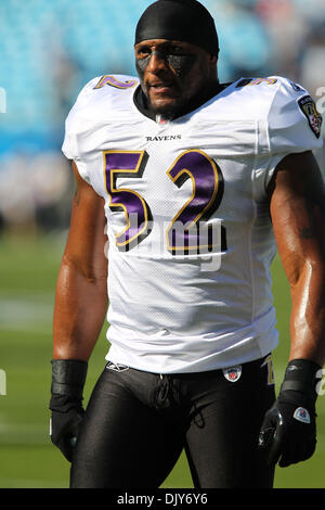 21 novembre, 2010 ; Baltimore Ravens secondeur Ray Lewis (52) au stade Bank of America à Charlotte, NC. Score à la moitié est du Corbeau 17 - Caroline 3. Jim Dedmon/CSM(Image Crédit : © Jim Dedmon/Cal/ZUMAPRESS.com) Media Sport Banque D'Images