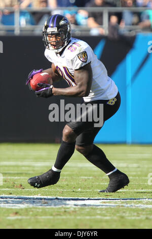 21 novembre, 2010 ; Baltimore Ravens Anquan Boldin wide receiver (81) au stade Bank of America à Charlotte, NC. Score à la moitié est du Corbeau 17 - Caroline 3. Jim Dedmon/CSM(Image Crédit : © Jim Dedmon/Cal/ZUMAPRESS.com) Media Sport Banque D'Images