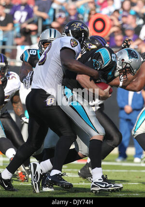 Le 21 novembre 2010 - Charlotte, Caroline du Nord, États-Unis d'Amérique - Baltimore Ravens coffre Haruki Nakamura (43) sacs Panthers quarterback Brian St Pierre (6) pour une perte au premier trimestre dans le jeu entre les corbeaux et les Panthers. Les Ravens ont conduit les Panthers 17-3 à la moitié dans le jeu Dimanche, 21 novembre 2010 à Stade Bank of America. (Crédit Image : © Ma Banque D'Images