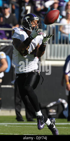 Le 21 novembre 2010 - Charlotte, Caroline du Nord, États-Unis d'Amérique - Baltimore Ravens le receveur T.J. Houshmandzadeh (84) capture d'un laissez-passer pour mettre les Corbeaux en position de marquer contre les Carolina Panthers. Les Ravens ont conduit les Panthers 17-3 à la moitié dans le jeu Dimanche, 21 novembre 2010 à Stade Bank of America. (Crédit Image : © Margaret Bowles/global/ZUMAPRESS Southcreek Banque D'Images