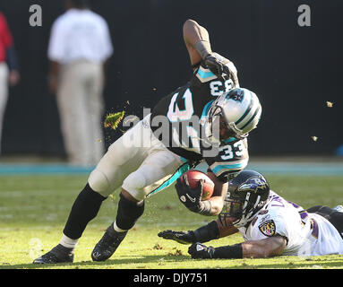 Le 21 novembre 2010 - Charlotte, Caroline du Nord, États-Unis d'Amérique - Carolina Panthers Mike Goodson running back (33) franchit la ligne défensive que Raven Baltimore Ravens de Baltimore - Haikou sécurité Landry (26) essaie de se défendre dans le jeu entre les corbeaux et les Panthers de Bank of America Stadium, le dimanche, 21 nov. 2010. Les Ravens défait les Panthers 37-13. (Crédit Image : Banque D'Images