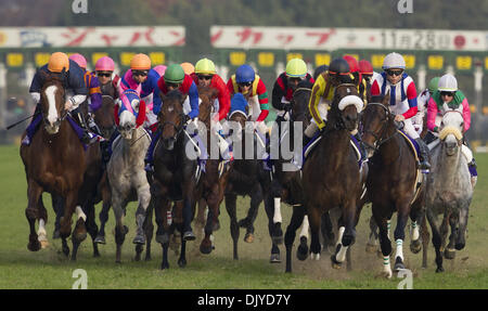 28 novembre 2010 - Tokyo, Japon - une vue générale de coureurs et cyclistes dans actionduring la 30e Coupe du Japon à l'Hippodrome de Tokyo le 28 novembre 2010 à Tokyo au Japon. Buena Vista relégué au deuxième rang après le Japon Tasse gagner. (Crédit Image : © Koichi Kamoshida-Jana Presse/press/ZUMAPRESS.com) Jana Banque D'Images