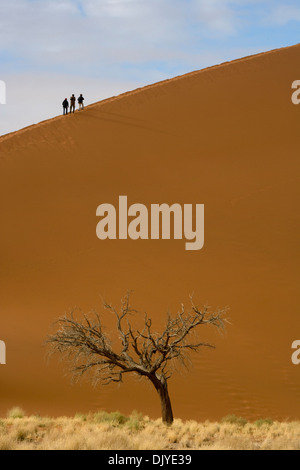 Lever du soleil dans les dunes de sable de Sossusvlei dans le désert du Namib, Namibie, Afrique Banque D'Images