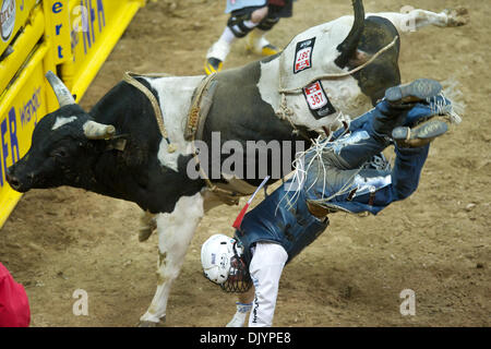 Le 5 décembre, 2010 - Las Vegas, Nevada, United States of America - bull rider Corey Navarre de Weatherford, OK s'effectue au large dos Amigos pour pas de score au cours de la quatrième à la Wrangler 2010 National Finals Rodeo au Thomas & Mack Center. (Crédit Image : © Matt Cohen/ZUMAPRESS.com) Southcreek/mondial Banque D'Images