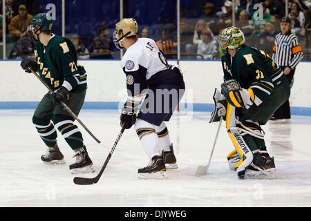 11 déc., 2010 - South Bend, Indiana, États-Unis d'Amérique - Les joueurs rechercher plan du point de la NCAA lors de match de hockey entre le nord du Michigan et de Notre Dame. Le nord du Michigan a défait les Wildcats Notre Dame Fighting Irish 3-2 en match à Joyce Center à South Bend, Indiana. (Crédit Image : © John Mersits/ZUMAPRESS.com) Southcreek/mondial Banque D'Images