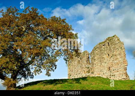 Château de Thirlwall Greenhead près de Northumberland dans Tipalt se trouve à côté de la gravure. Banque D'Images