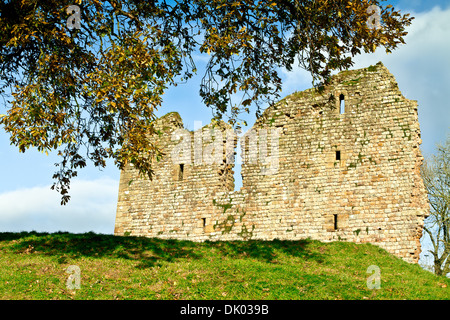 Château de Thirlwall Greenhead près de Northumberland dans Tipalt se trouve à côté de la gravure. Banque D'Images