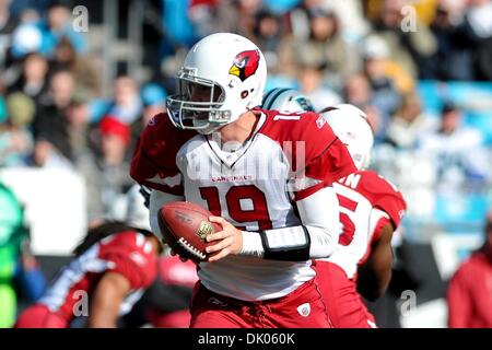 19 déc., 2010 - Charlotte, Caroline du Nord, États-Unis d'Amérique - Arizona Cardinals quarterback John Skelton (19) mains le ballon.Panthers défaite les cardinaux 19-12 à la Bank of America Stadium à Charlotte en Caroline du Nord. (Crédit Image : © Anthony Barham/global/ZUMAPRESS.com) Southcreek Banque D'Images