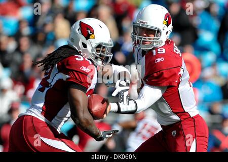 19 déc., 2010 - Charlotte, Caroline du Nord, États-Unis d'Amérique - Arizona Cardinals quarterback John Skelton (19) mains le ballon.Panthers défaite les cardinaux 19-12 à la Bank of America Stadium à Charlotte en Caroline du Nord. (Crédit Image : © Anthony Barham/global/ZUMAPRESS.com) Southcreek Banque D'Images