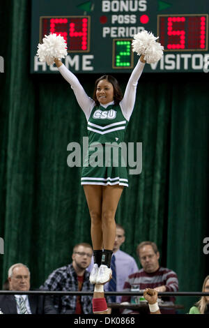 22 décembre 2010 - Cleveland, Ohio, États-Unis - Cleveland State Vikings cheerleaders de divertir les fans pendant le match contre la Floride du Sud. Le Cleveland State Vikings défait le South Florida Bulls 69-62 à l'Wolstein Center de Cleveland (Ohio). (Crédit Image : © Frank Jansky/global/ZUMAPRESS.com) Southcreek Banque D'Images