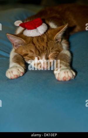 Un jeune homme blanc et gingembre tabby cat /chaton endormi avec un chapeau de Père Noël placé sur sa tête. Banque D'Images