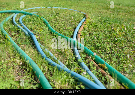 Blue Green Brown dans le jardin d'herbes mixtes flexibles horizontales Banque D'Images