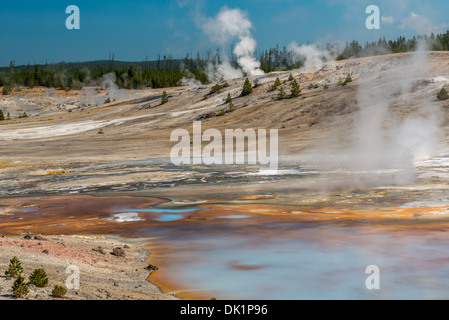 Photographie du paysage et des caractéristiques de la zone du bassin de porcelaine. Le Parc National de Yellowstone, Wyoming. Banque D'Images