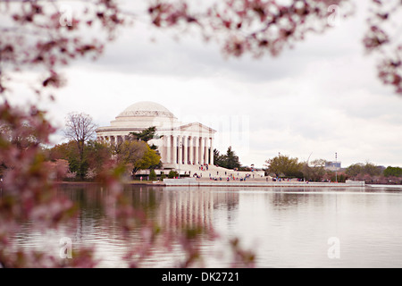 Les fleurs de cerisier rose sur l'ossature de "Jefferson Memorial, Washington, United States Banque D'Images