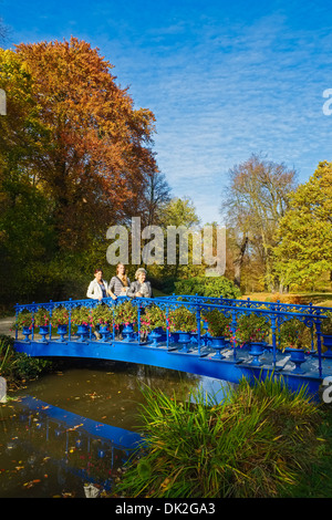 Blue Bridge dans Fuerst-Pueckler-Park, Bad Muskau, Saxonia, Allemagne Banque D'Images