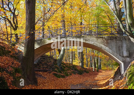 Pont dans le parc Bergpark, Badepark, Zumaia, Saxonia, Allemagne Banque D'Images