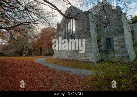 Abbaye de Muckross en automne Banque D'Images