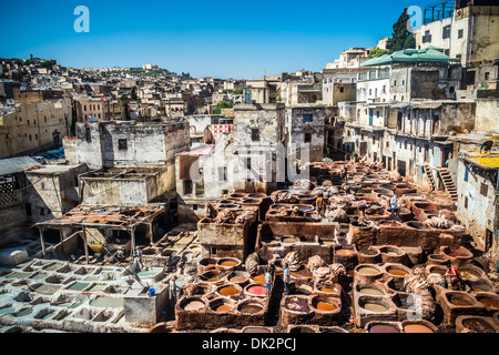 Les tanneurs de cuir de travail dans l'ancienne tannerie de Fes, Maroc Banque D'Images