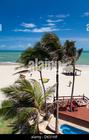 Plage et cerfs-volants, Cumbuco, Fortaleza, Brésil district. Banque D'Images