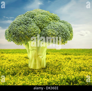 Composite d'arbre dans le champ de fleurs de brocoli Banque D'Images