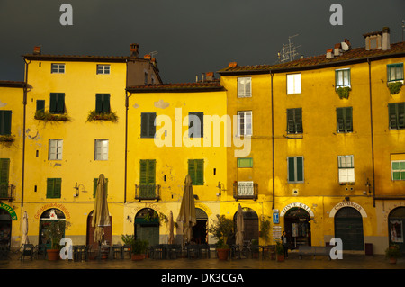 La place Piazza Amfiteatro Lucca ville région Toscane Italie Europe Banque D'Images