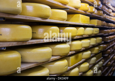 Fromagerie en Hollande avec différents types Banque D'Images