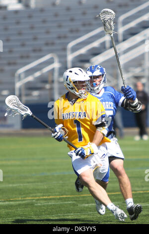 13 mars 2011 - Hempstead, New York, États-Unis - le milieu de terrain de la fierté de Hofstra Brad Loizeaux contre les faucons de l'Armée de l'air en action la crosse à James Shuart Stadium à Hempstead, dans l'Armée de l'air défait de Hofstra 11-6 (crédit Image : © Debby Wong/ZUMAPRESS.com) Southcreek/mondial Banque D'Images