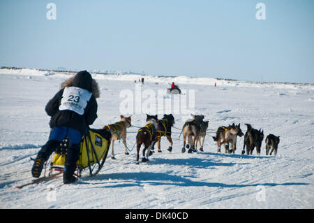 Mar 15, 2011 - Nome, Alaska, USA - HANS GOTT le long de la glace de mer juste avant d'arriver dans la région de Nome de revendiquer la 3ème place en 2011, l'Alaska Iditarod (Image Crédit : © Ron Levy/ZUMAPRESS.com) Banque D'Images