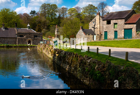 En canard étang village Tissington près de Ashbourne dans le parc national de Peak District Derbyshire Dales England UK Banque D'Images