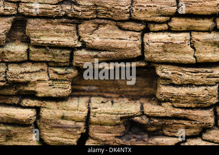 Modèle en couches de vieux chêne anglais exposés pourrir en pans de bois patiné exposé aux éléments Banque D'Images