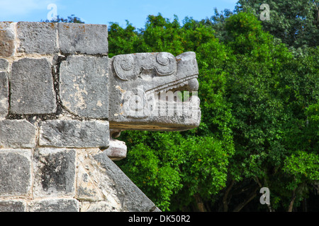 Gros plan d'une tête de serpent en pierre à Chichen Itza ruines Mayas sur la péninsule du Yucatan Mexique Amérique du Nord Banque D'Images