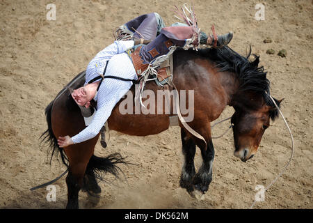 23 avril 2011 - Clovis, en Californie, États-Unis - Bryan Jones de Elko, NV 547 manèges au rodéo de Clovis. (Crédit Image : © Matt Cohen/ZUMAPRESS.com) Southcreek/mondial Banque D'Images