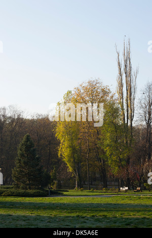 Les arbres d'automne Banque D'Images