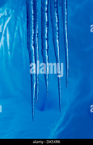 L'antarctique, Glaçons pendant de toit de la grotte de glace glaciaire le long du détroit de Gerlache en Antarctique Banque D'Images