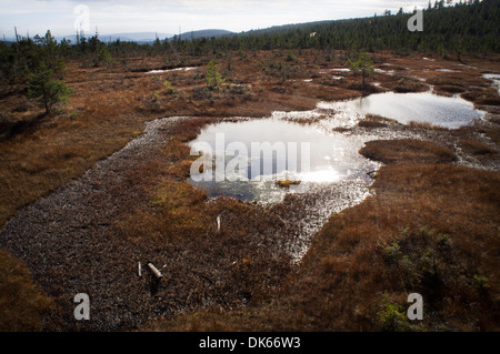 Cihadle peat moors Na Banque D'Images