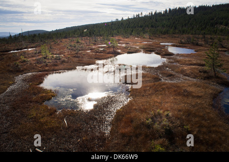 Cihadle peat moors Na Banque D'Images