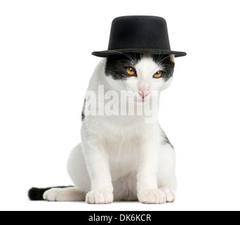 European Shorthair chaton portant un grand chapeau, assis, âgé de 4 mois, contre fond blanc Banque D'Images