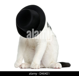 European Shorthair chaton assis, cachant son visage dans un grand chapeau, âgé de 4 mois, contre fond blanc Banque D'Images