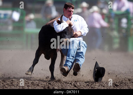 11 juin 2011 - Livermore, Californie, États-Unis - Steer wrestler Jared Ferguson, de peupliers, de CA lors de la 93e rodéo annuel Livermore au Robertson Park à Livermore, CA. (Crédit Image : © Matt Cohen/ZUMAPRESS.com) Southcreek/mondial Banque D'Images