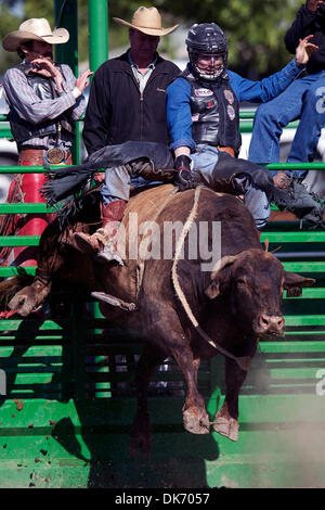 11 juin 2011 - Livermore, Californie, États-Unis - Josh Daries de Salinas, CA rides néerlandais au 93e rodéo annuel Livermore au Robertson Park à Livermore, CA. (Crédit Image : © Matt Cohen/ZUMAPRESS.com) Southcreek/mondial Banque D'Images