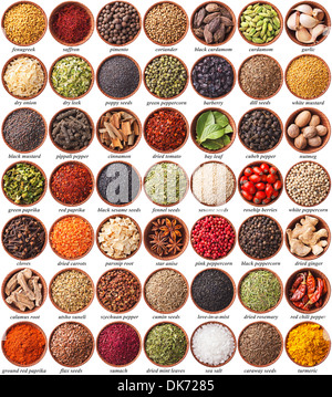Grande collection de différentes épices et fines herbes avec des étiquettes Banque D'Images