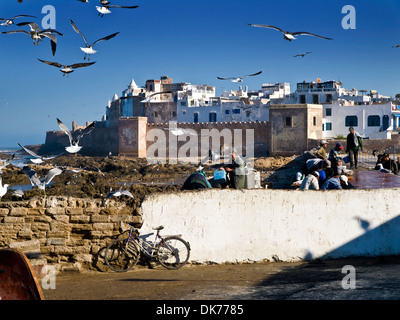 Mouettes wheeling dans le ciel ,Essaouira, ville fortifiée sur la côte Atlantique, Maroc Banque D'Images