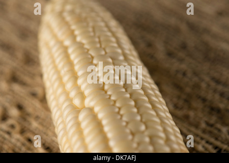 Close up image of yellow corn on the cob Banque D'Images