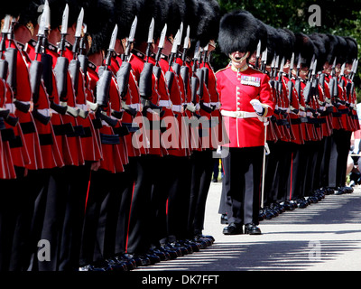 Garde d'honneur de la société no 2, 1er Bataillon Grenadier Guards. Banque D'Images