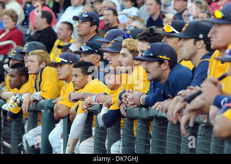 23 juin 2011 - Omaha, Nebraska, États-Unis - Cal joueurs commencent à voir leur fin de saison comme Virginie Californie défait 8-1 au College World Series à TD Ameritrade Park à Omaha, Nebraska. La Californie est éliminé du tournoi et Virginia joue en Caroline du Sud vendredi soir. (Crédit Image : © Steven Branscombe/ZUMApress.com) Southcreek/mondial Banque D'Images